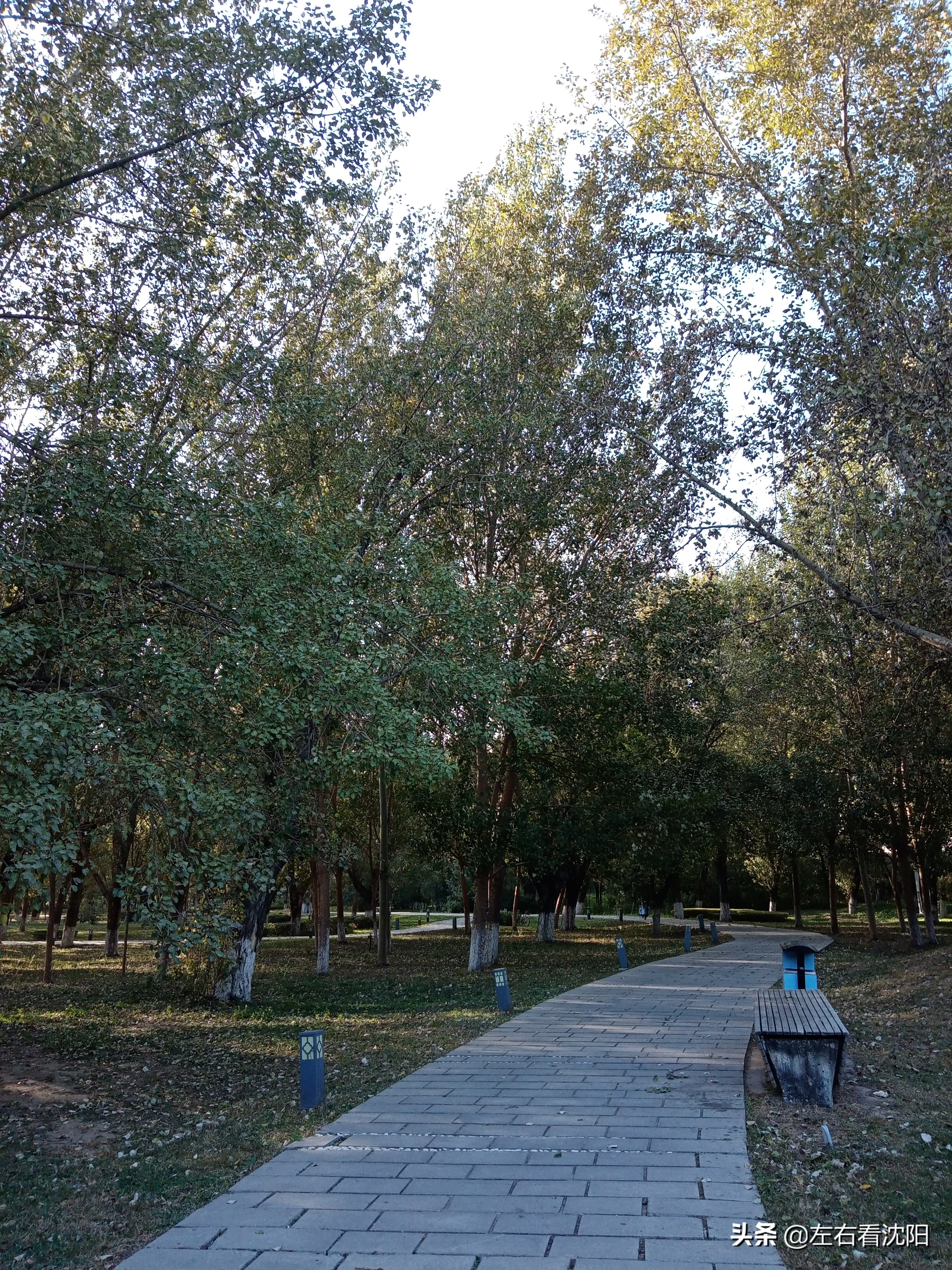 沈阳沈水湾公园看日出,沈阳浑河看海的地方