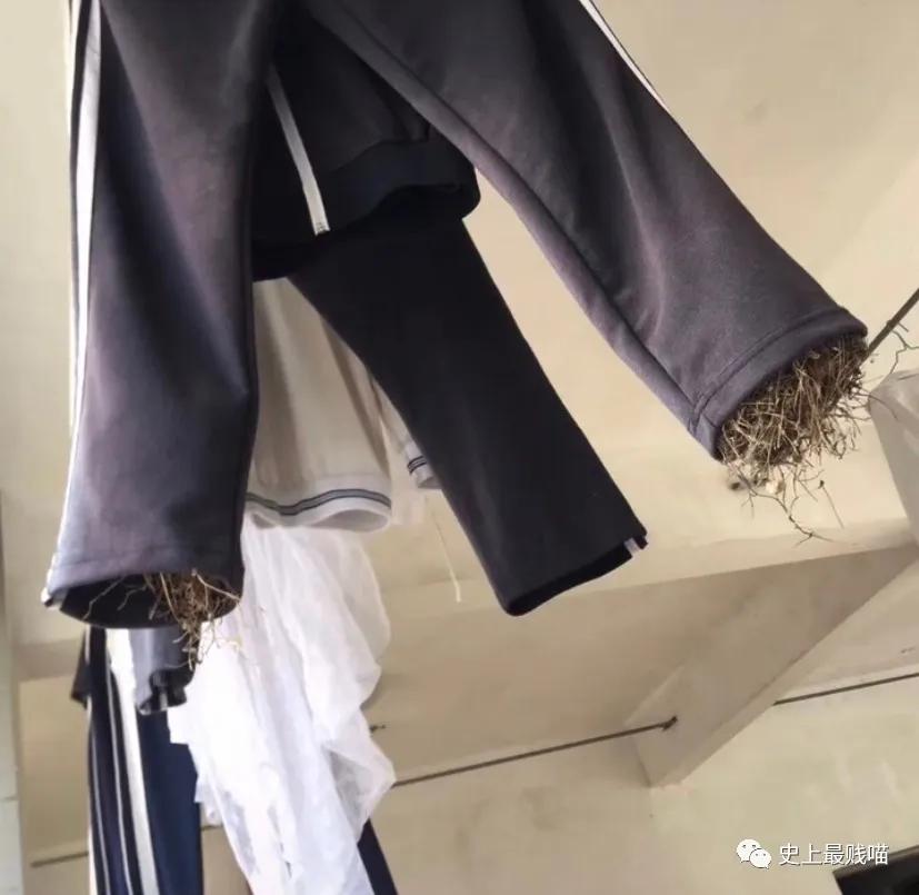 “教你怎么和家里的长辈微信聊天？”这操作太骚了！