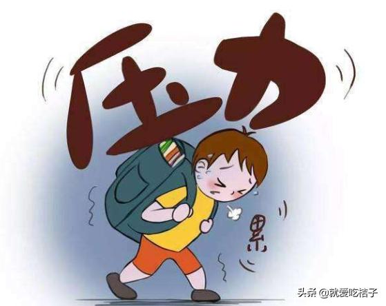 高中生正确的学习模式,高中生的学习困境