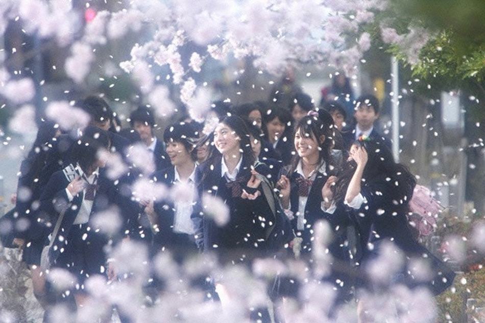 告白日本解析,日式告白经典