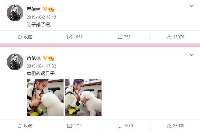 蔡依林演唱会被叫停,蔡依林演唱会被叫停了吗