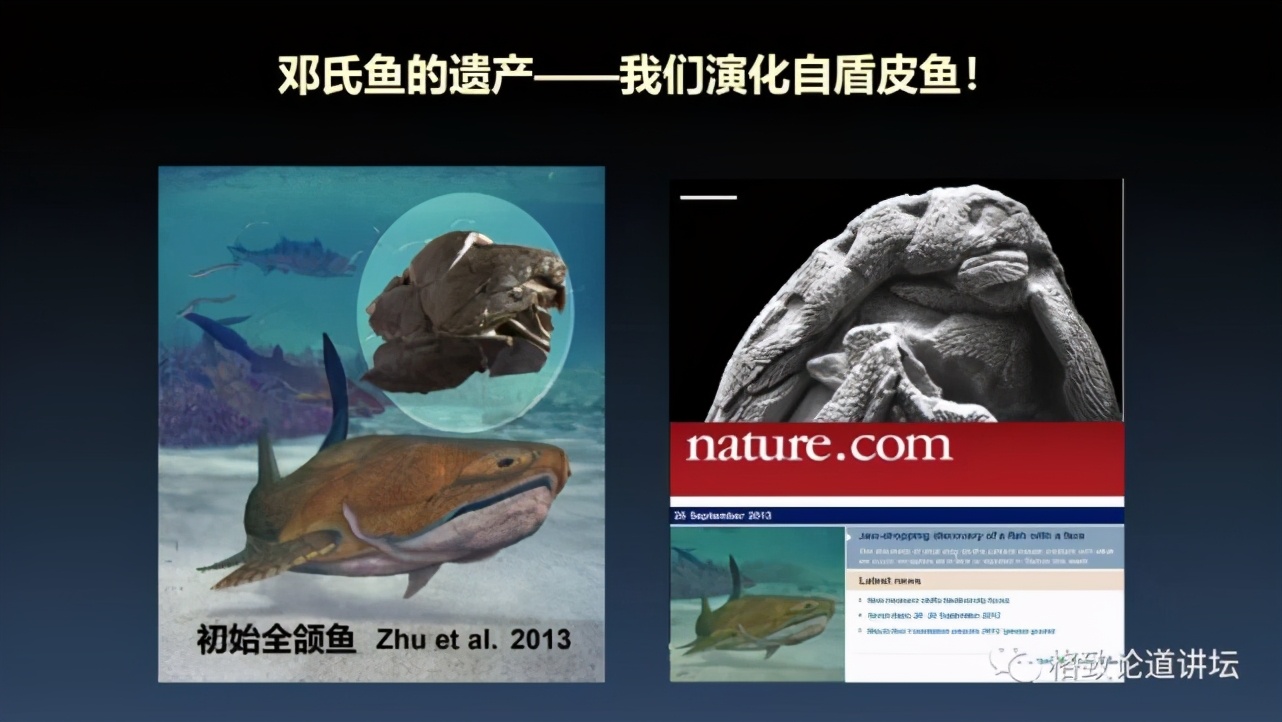 我们用来咬合的颌骨，竟和这条古鱼海怪一脉相承