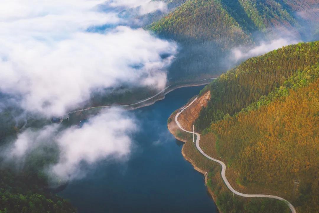 秋天的杭州自驾游,杭州秋冬自驾