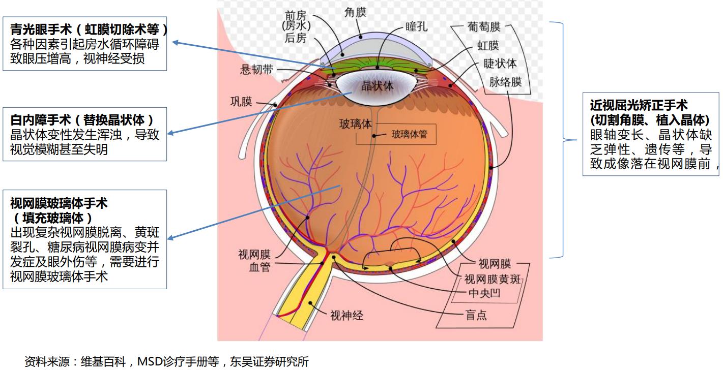股票最牛分析师,目前最牛的证券分析师