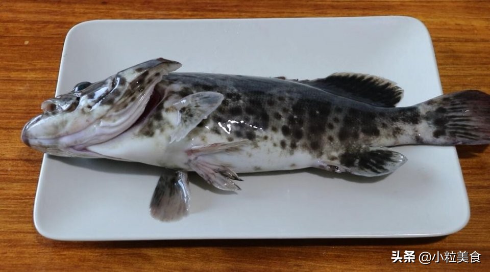 家宴上简单美味的清蒸石斑鱼,青石斑鱼除了清蒸还能怎么做