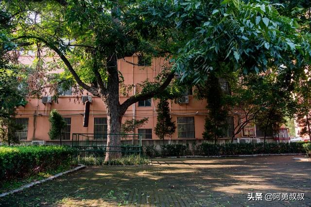 滕州一中全部名单,滕州一中百年名校