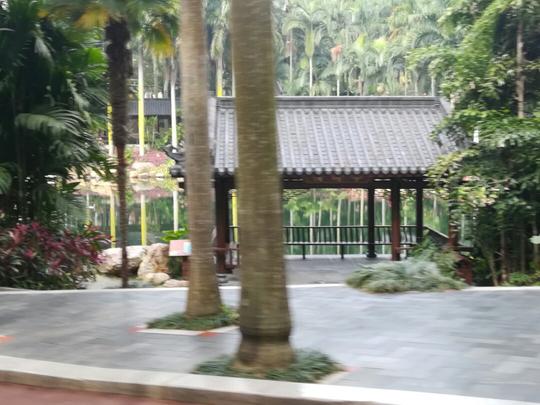 青秀山奇幻之旅,南宁2022奇妙之旅