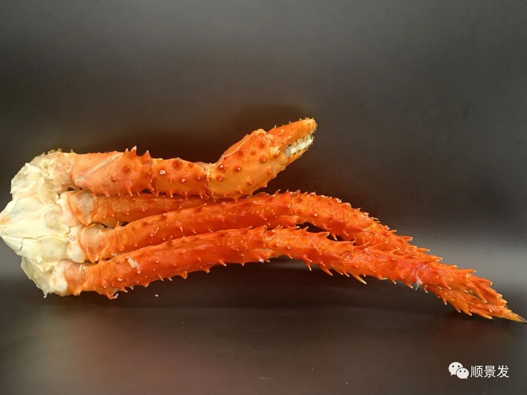 冷冻海鲜进口知识大全,船冻鱿鱼回家怎么处理