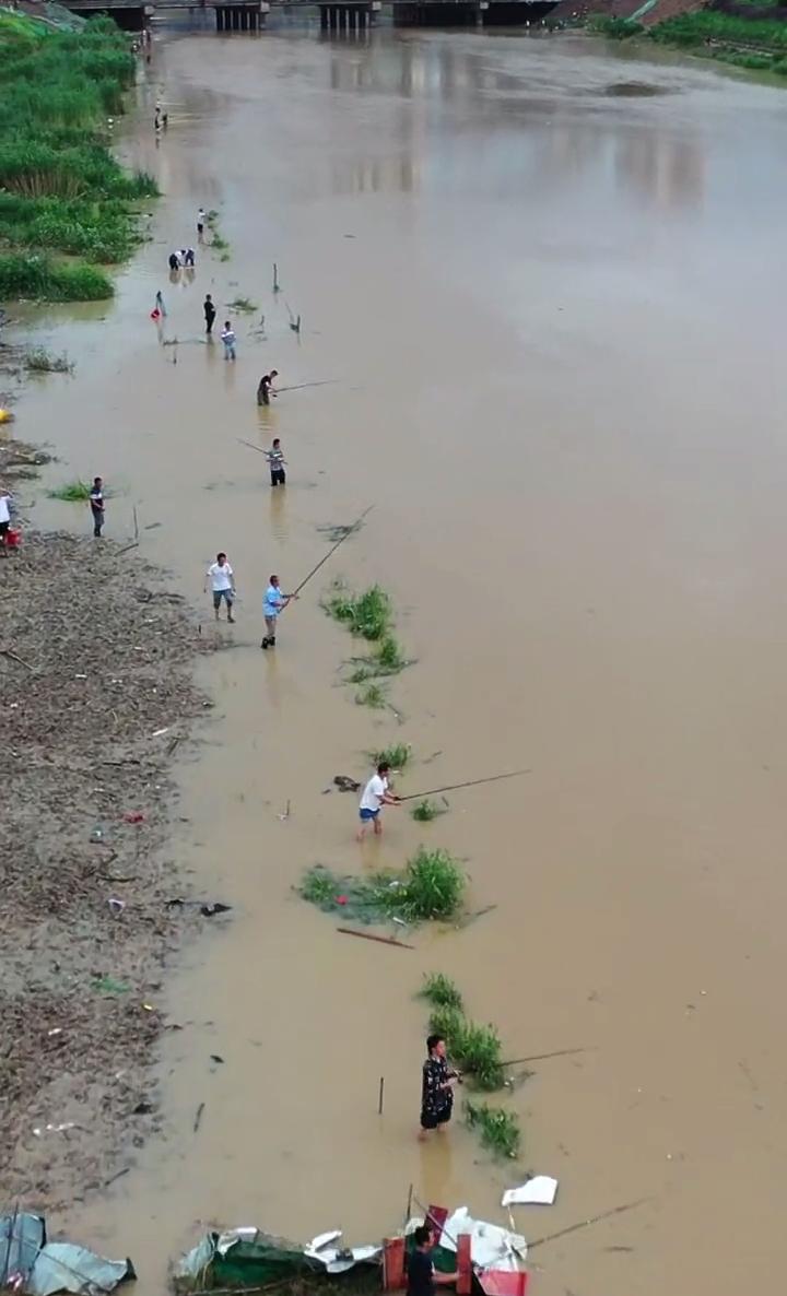翘嘴泛滥成灾邀请各地钓友,水库开闸放水引来捞鱼大军