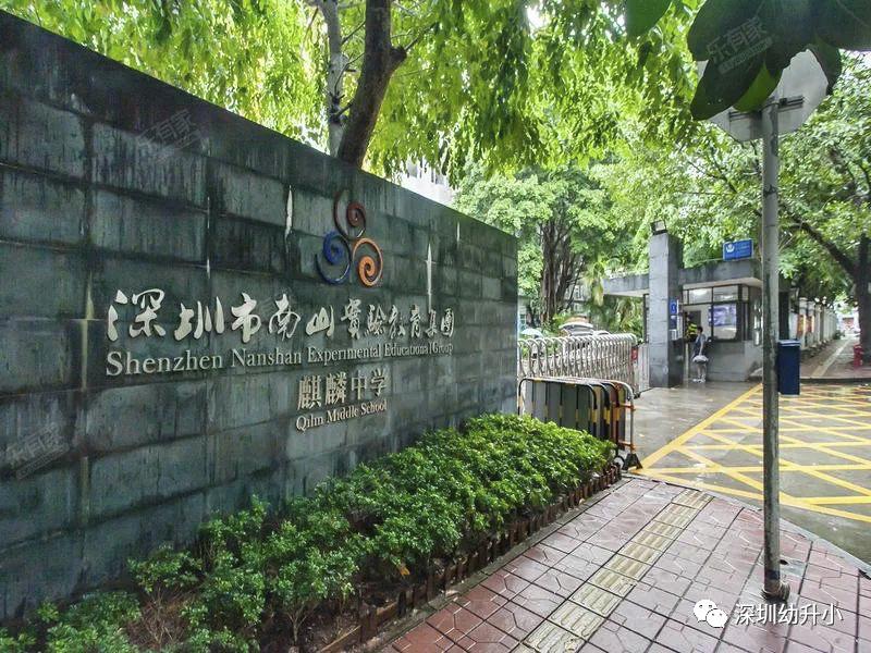 深圳好的双语小学,深圳2023优质小学校排名