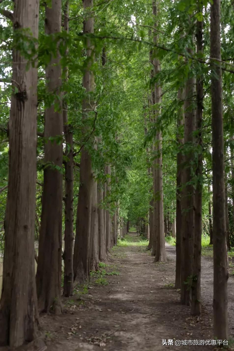 神兽小课堂|蜕变水上勇士，搭乘皮划艇来一场乘风破浪的奇妙旅行