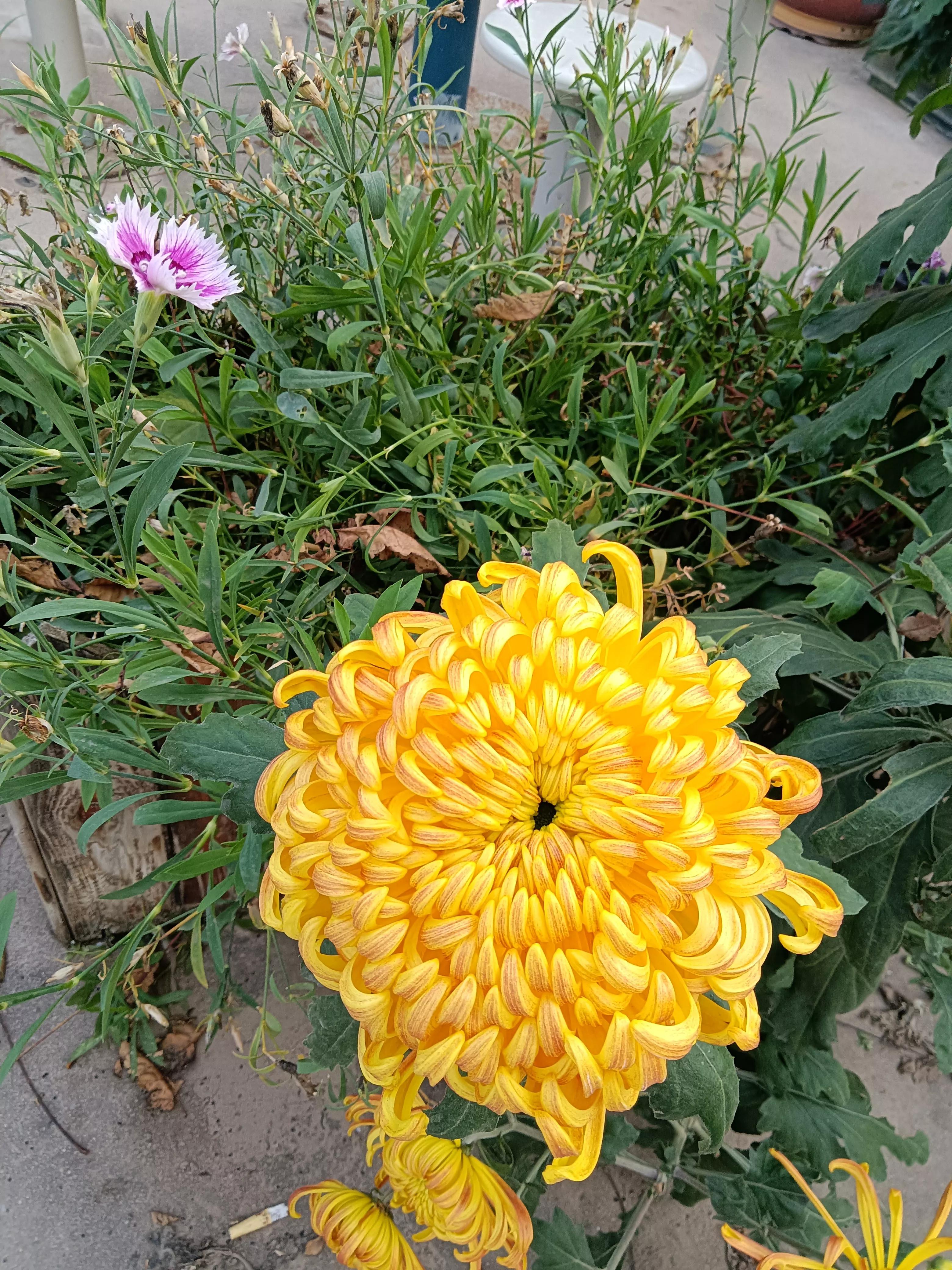 与成语司空见惯意义相同的成语,司空见惯相关的成语