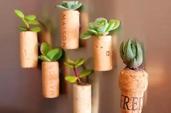 红酒的软木塞怎么取出来,各种红酒软木塞