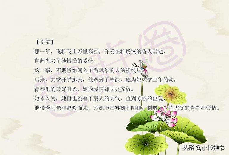 高糖甜文小说,发糖比较多的小说