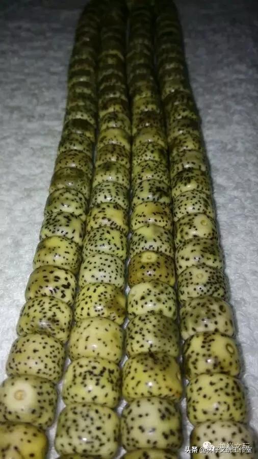 玩星月菩提算什么段位,星月菩提顺白盘玩难度