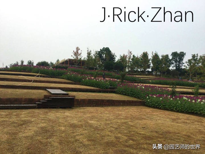 适合北方庭院种植的低矮草坪,家庭庭院怎样混搭种植草坪和蔬菜