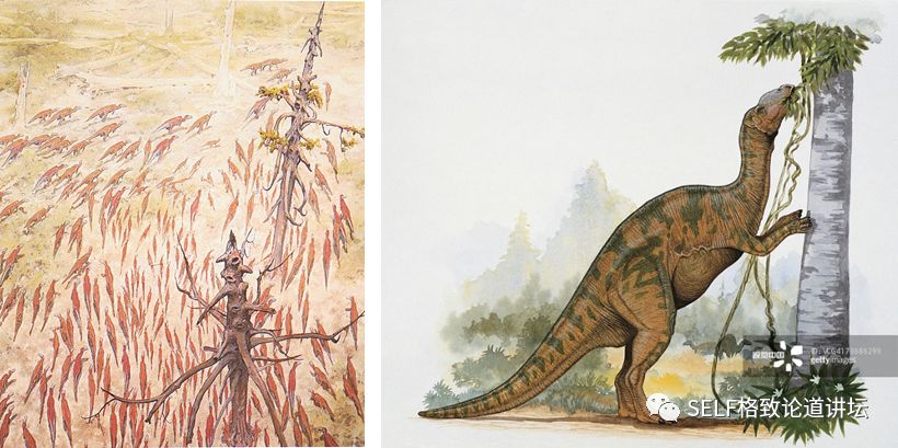 关于恐龙的研究详细,恐龙食谱大全及做法