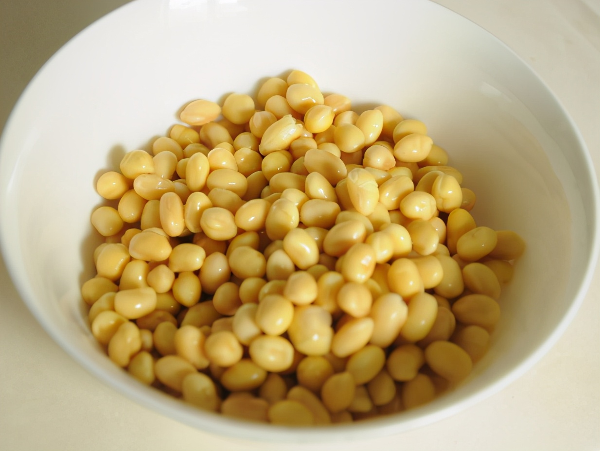 学会这个方法再也不用买豆芽了,发豆芽小技巧让你再也不用出去买