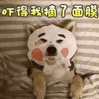 boz宝致护肤方法,boz宝致化妆品怎么样