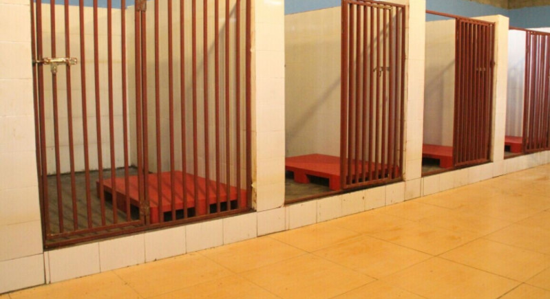 每个铲屎官必备的宠物小技巧,照顾幼犬这6大细节铲屎官别大意