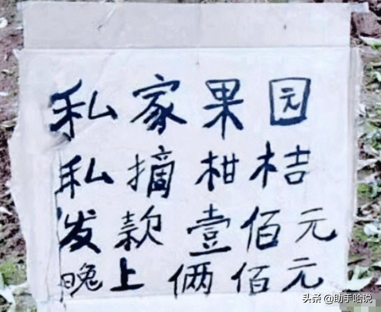 为什么断臂不会大出血,为什么断臂不会死