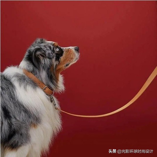 凡尔赛文学背后的秘密,凡尔赛文学大合集