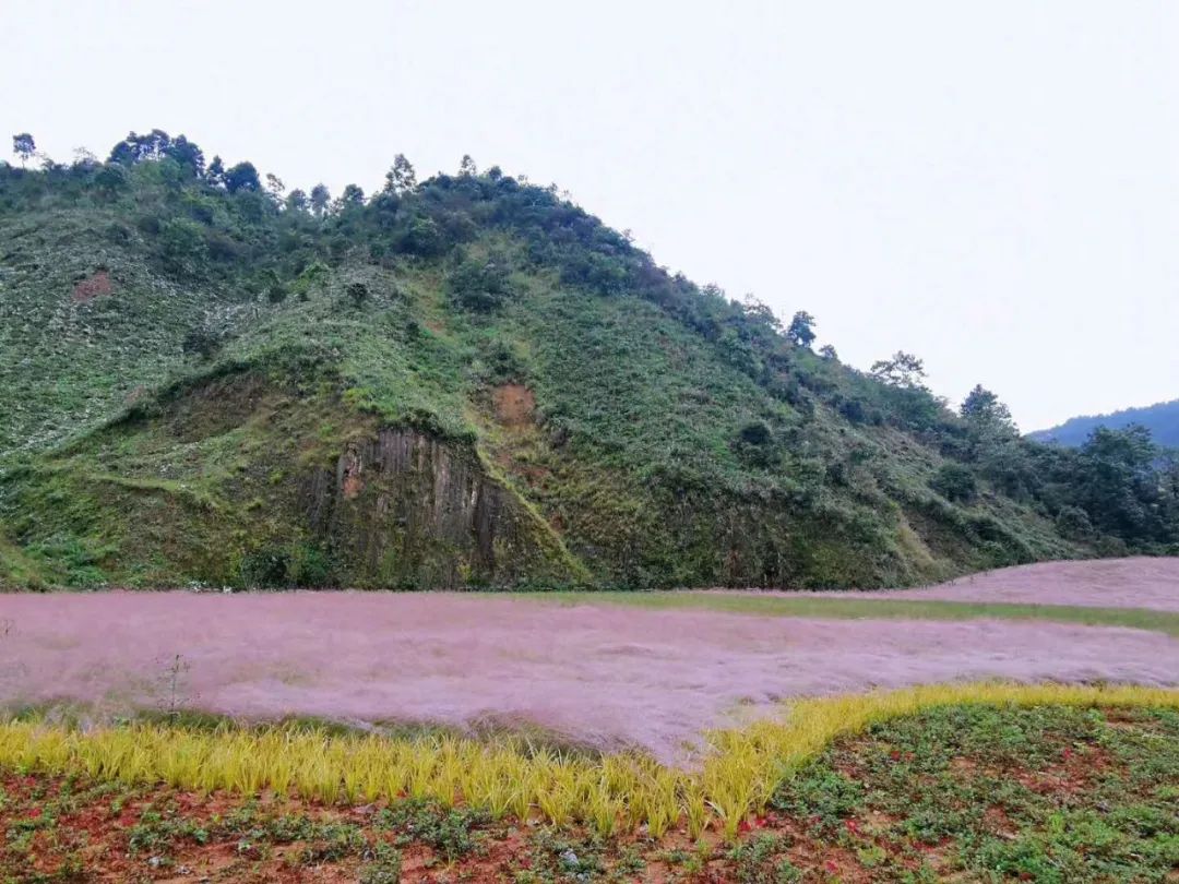 贵州绿博园驾车旅游攻略,贵州绿博园怎么玩