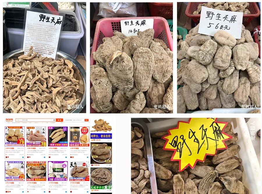 达州道地药材天麻,正宗中药材天麻