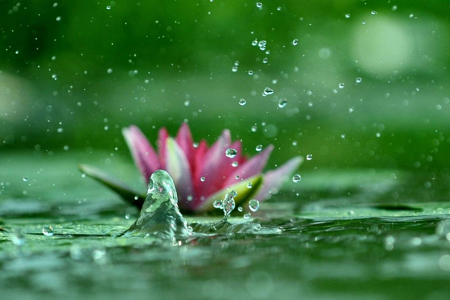 李商隐最好的一句情诗,李商隐爱情最美的十首诗