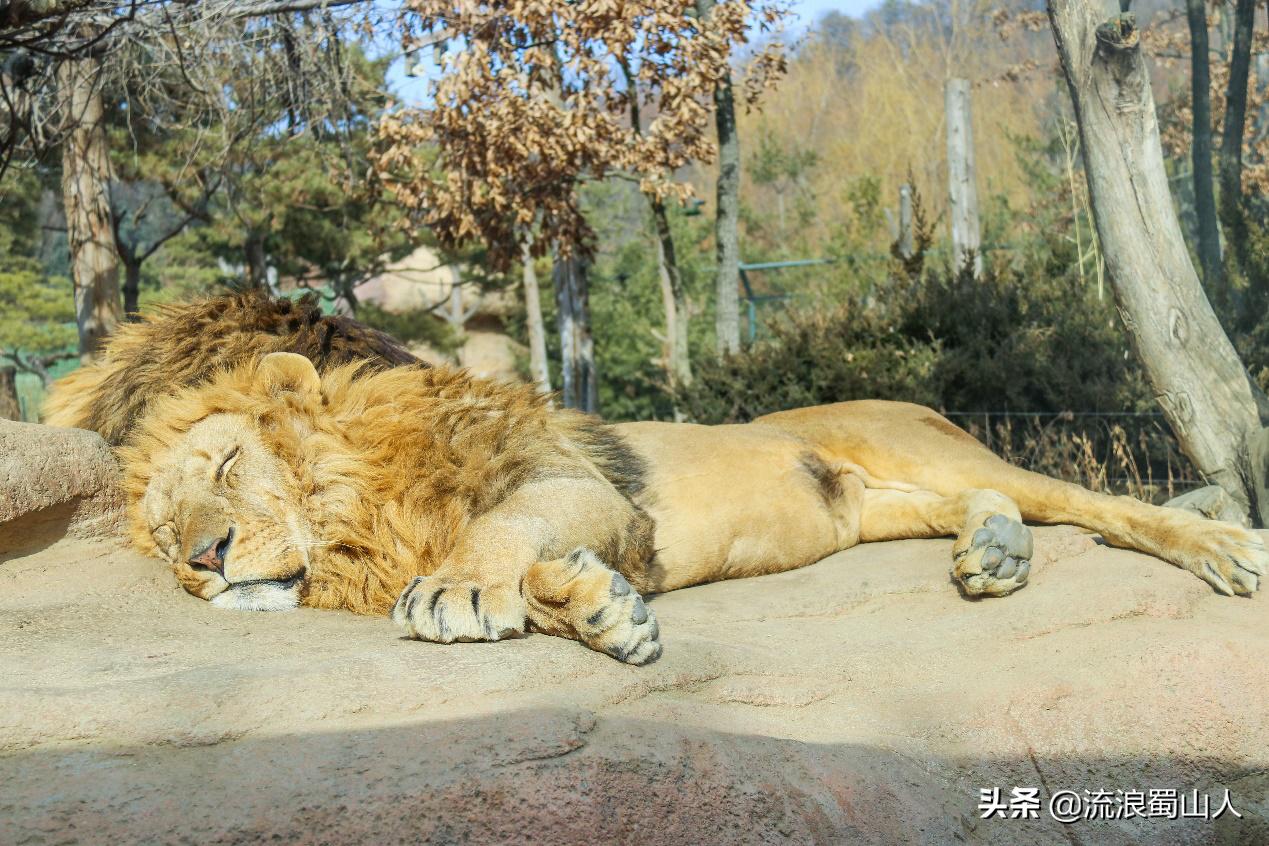 初见韩国歌曲,初见韩国电影