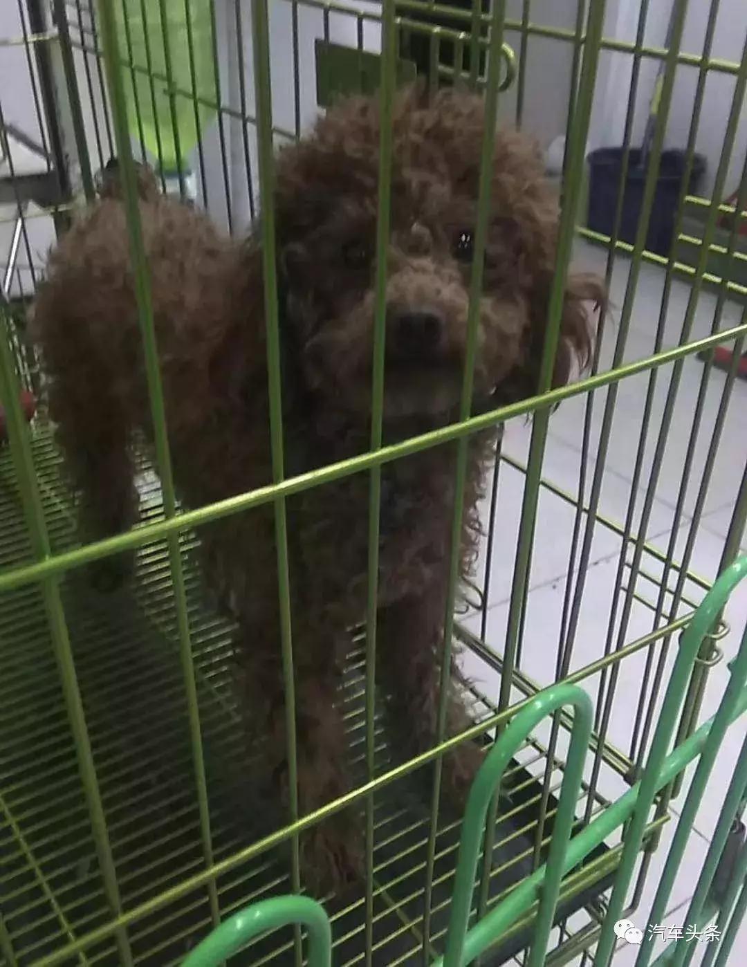 漫漫回家路寻亲全集,漫漫回家路采访