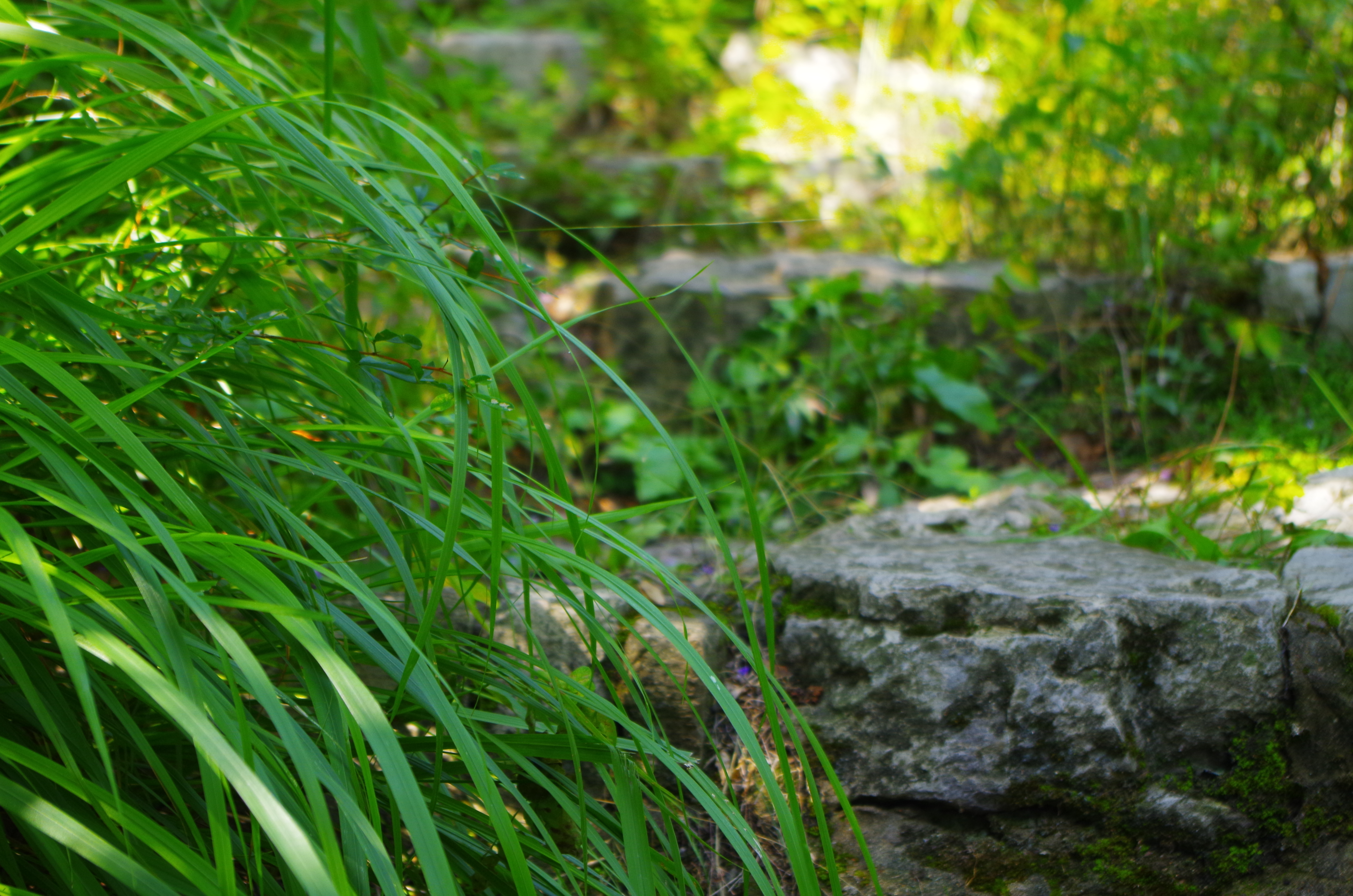 石家庄清凉山游玩需要多长时间,清凉山爬山详细爬山攻略