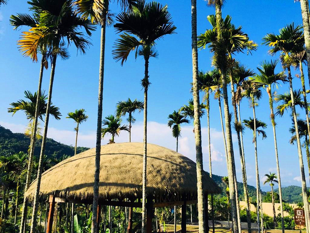 全国有多少人吃槟榔致癌,世界十大致癌物槟榔