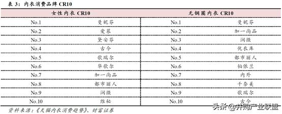 女士内衣网络市场分析,内衣行业与市场监测报告