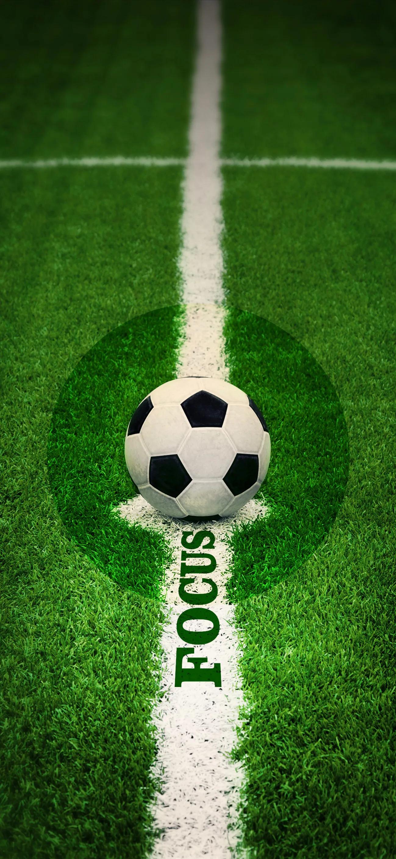 看世界杯了吗,看世界杯足球