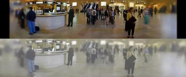 人类在猫的眼中是什么样,猫眼前的世界是什么样子的