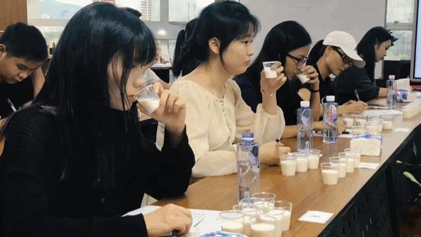 金典纯牛奶和特仑苏,金典纯牛奶特仑苏16盒装