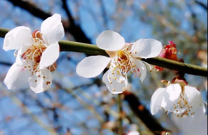 欢迎大家来到长沙英文,欢迎大家来到长沙模板