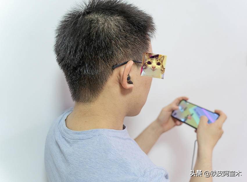 摩点众筹尺寸,摩点众筹官网