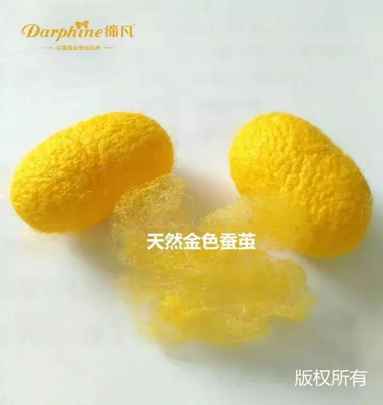 为何蚕宝宝吐有黄金丝,蚕宝宝吐的彩色丝是从哪来的