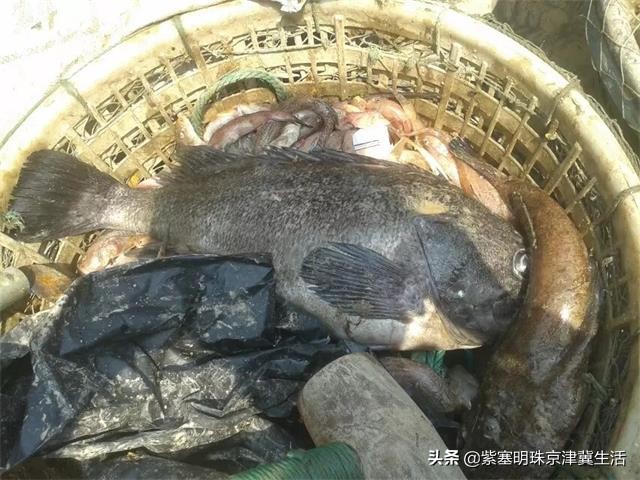 崂山海边渔家客栈,吴家台渔家客栈