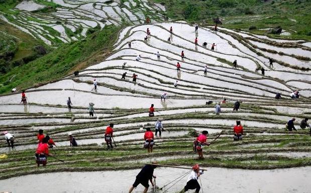 秋季桂林梯田之冠龙脊梯田,广西桂林龙胜龙脊梯田晨景