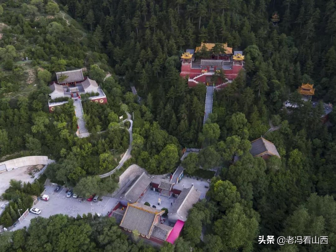 山西忻州静乐天地藜麦,山西静乐县杂粮