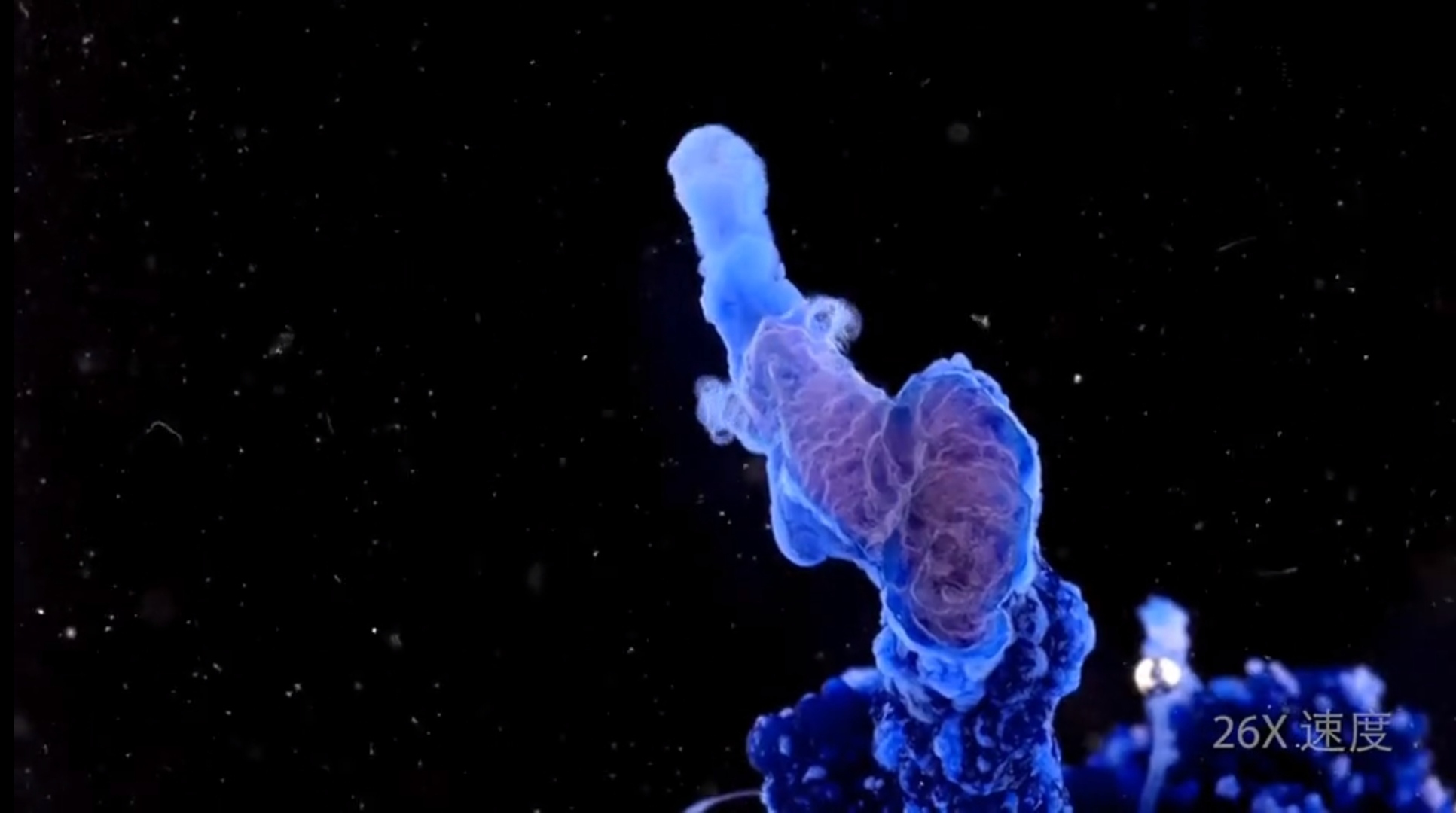 如何学好化学四招帮你轻松考高分,化学学霸是怎么学好化学的