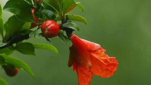 却给人澄净清冷之感的李白名句,李白写的古诗四句简单