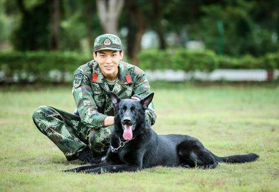 风水轮流转女明星,风水轮流转张馨予