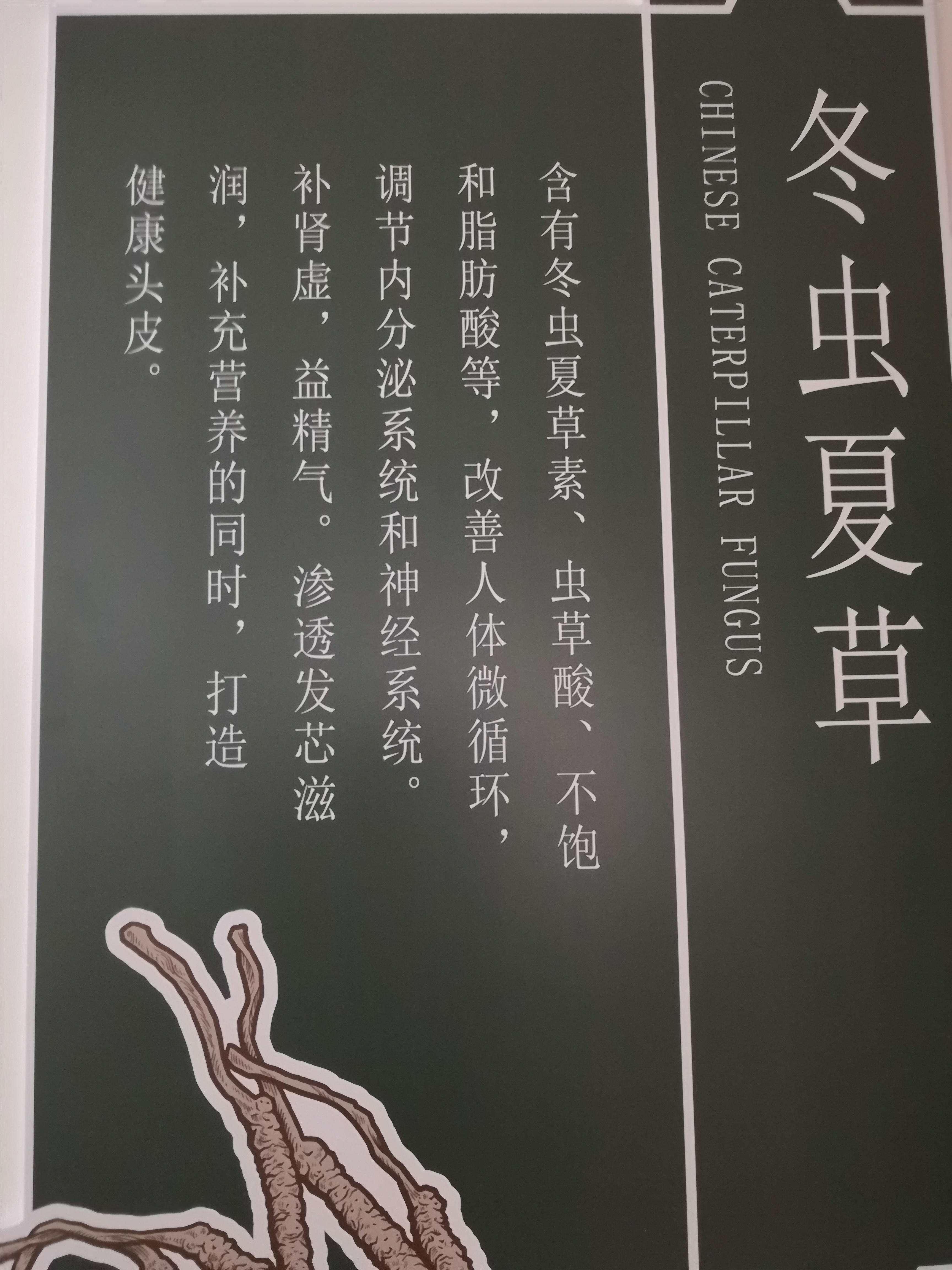 贺彩人生，从“头”开始