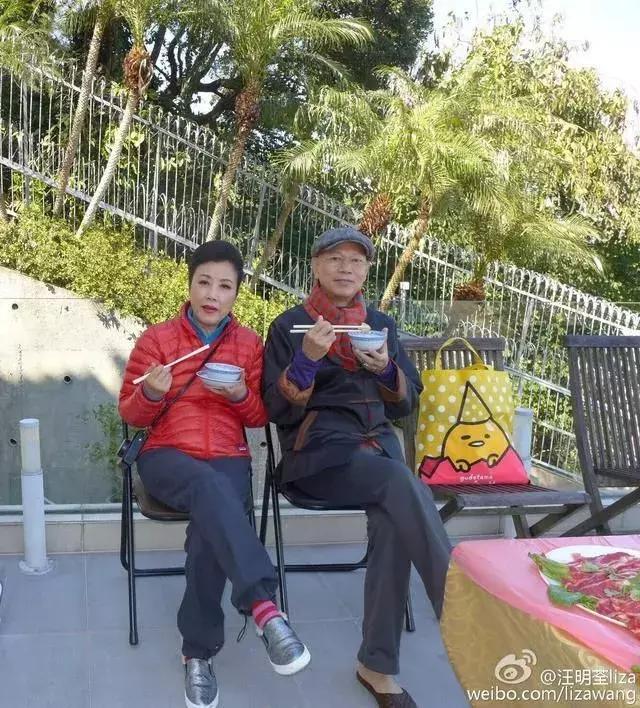 老佛爷的猫继承多少遗产,老佛爷去世了猫继承了多少遗产