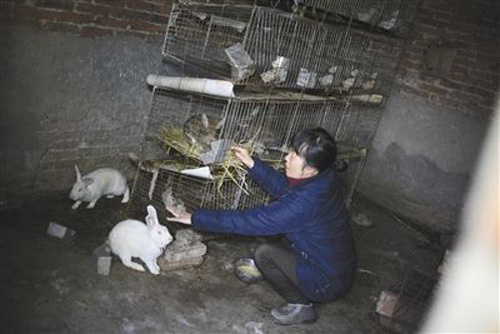 农村有哪些利润高的项目,农村成本低赚钱的项目