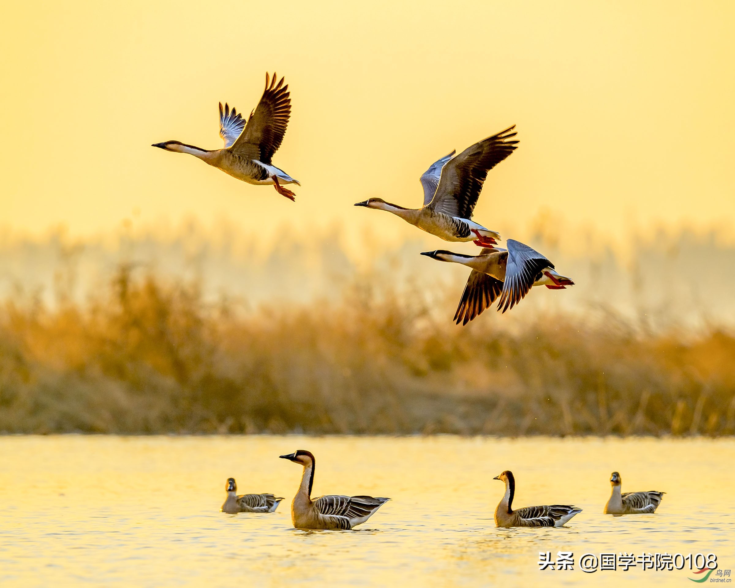 古诗中的十大风雅,古诗词有意境的经典美文